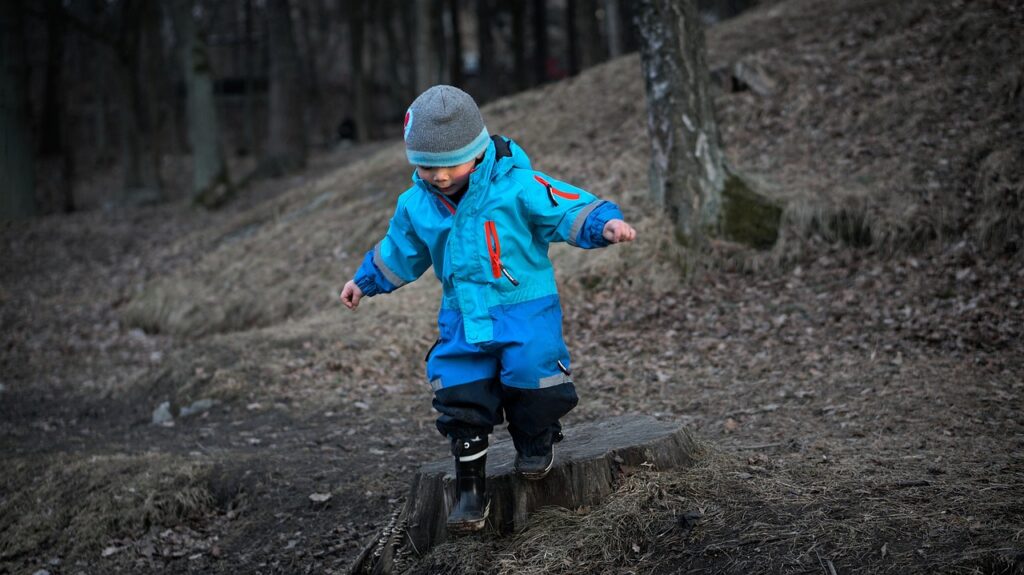boy, son, toddler, child, young, kid, childhood, playing, little, small, day, jump, nature, step, outdoor, cold, winter cloths, trees, leaves, first step, step out, overall, stump, jumping, forest, fun, spring, gray forest, gray clothes, gray leaf, gray leaves, gray fun